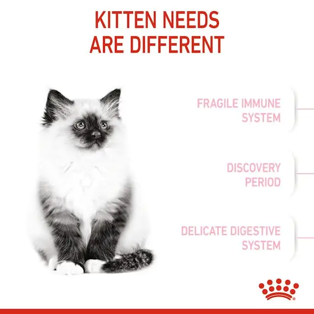 غذای خشک بچه گربه رویال کنین کیتن ROYAL CANIN KITTEN 400G - Image 4