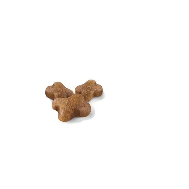 غذای خشک بچه گربه رویال کنین کیتن ROYAL CANIN KITTEN 400G - Image 2