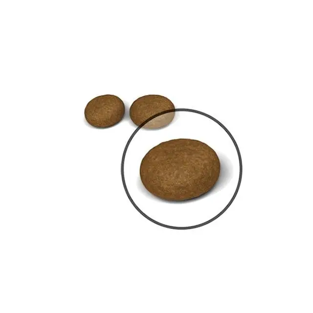 غذای خشک گربه رویال کنین هیرانداسکین ROYAL CANIN HAIR AND SKIN 400G - Image 2