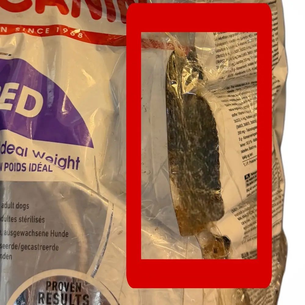 غذای خشک سگ رویال کنین مدل مینی استرلایزد ROYAL CANIN MINI STERILISED 3KG(مخدوش) - Image 2