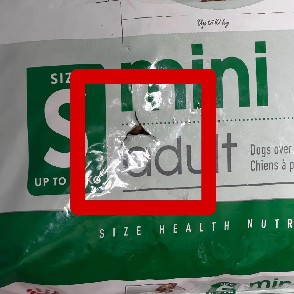 غذای خشک سگ رویال کنین مدل مینی ادالت ROYAL CANIN MINI ADULT 8 KG(مخدوش) - Image 2