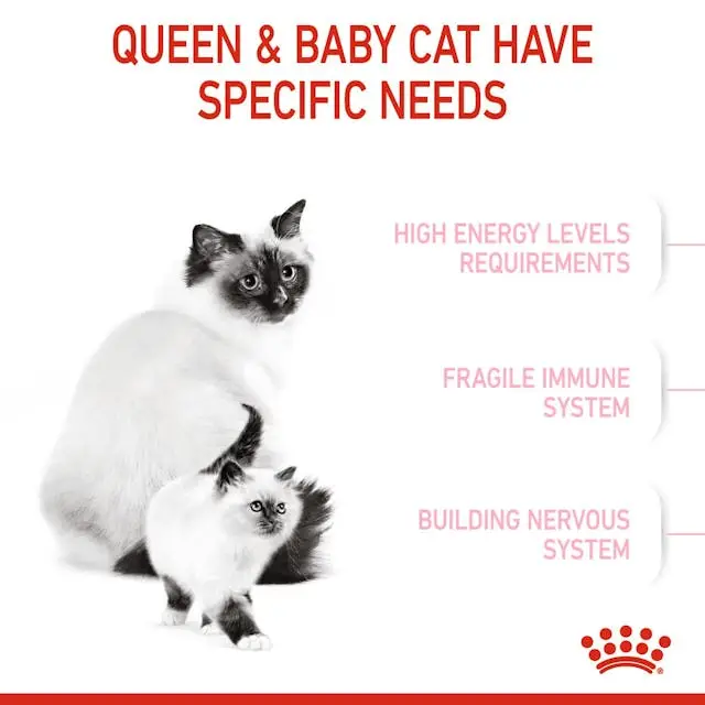 غذای خشک بچه گربه رویال کنین مدل مادراندبیبی ROYAL CANIN MOTHER AND BABY 2KG - Image 4