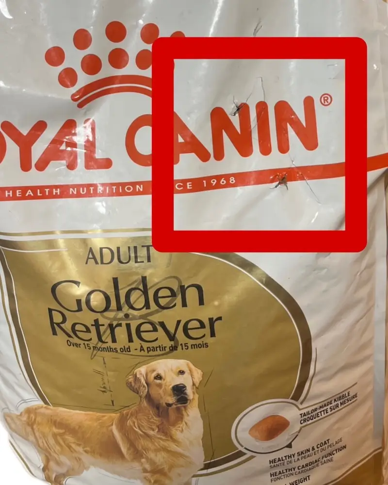 غذای خشک سگ رویال کنین گلدن ریتریور ادالت ROYAL CANIN GOLDEN RETRIVER ADULT 12KG (مخدوش) - Image 3