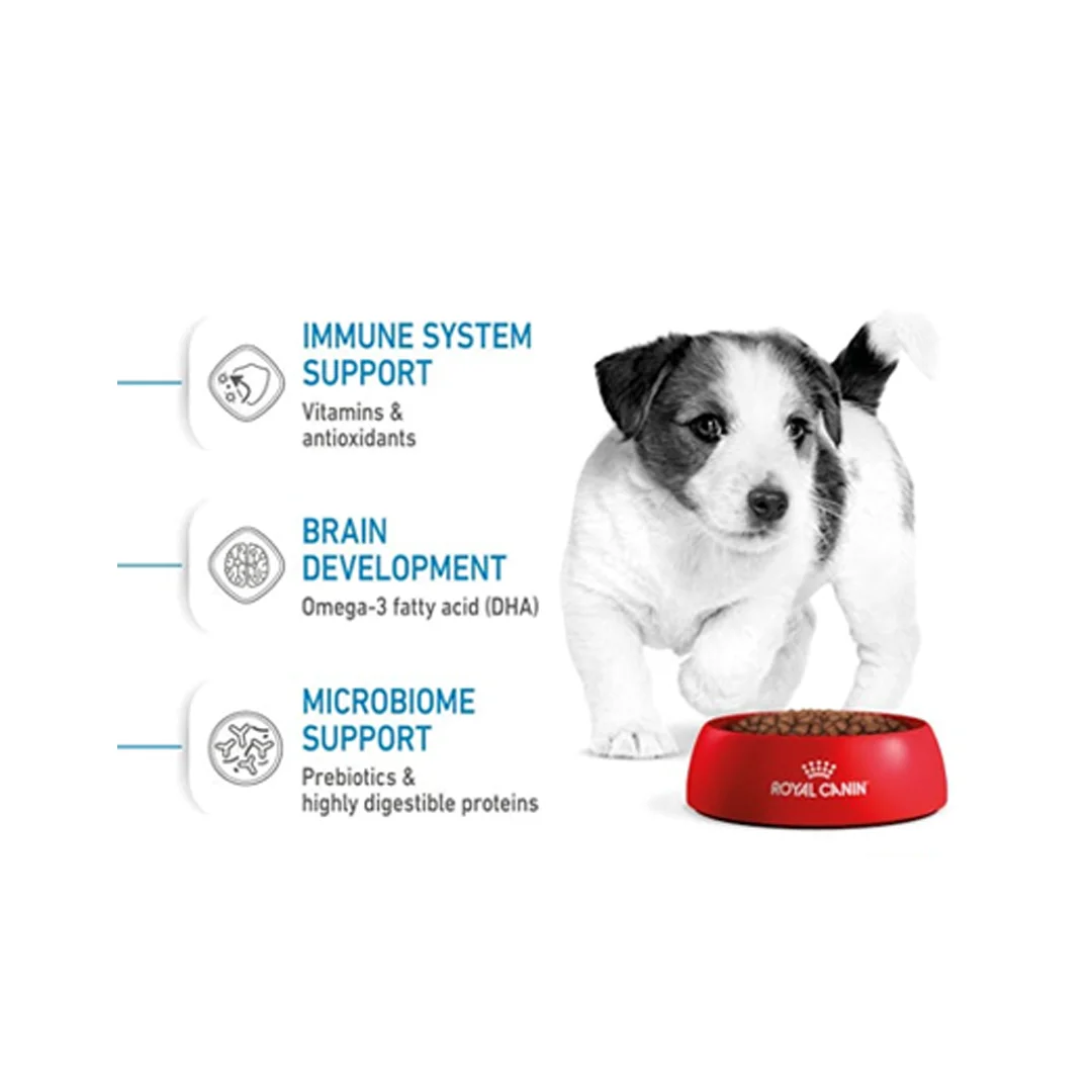 غذای خشک توله سگ رویال کنین مینی پاپی ROYALCANIN MINI PUPPY 8KG - Image 3