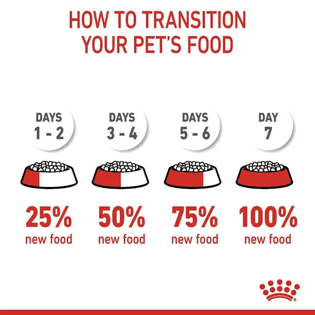 غذای خشک گربه رویال کنین دایجستیو کر ROYAL CANIN DIGESTIVE CARE 10KG - Image 4
