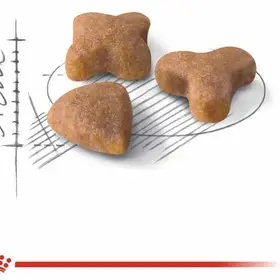 غذای خشک گربه رویال کنین سنسیبل ROYAL CANIN SENSIBLE 10KG - Image 2
