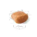 غذای خشک سگ رویال کنین پودل ادالت ROYAL CANIN POODLE ADULT 1/5KG - Image 2