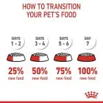 غذای خشک گربه رویال کنین فوسی اکسیجنت  ROYAL CANIN FUSSY EXIGENT 2KG - Image 3