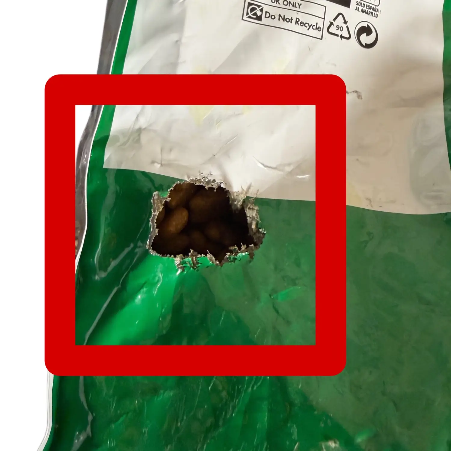 غذای خشک سگ رویال کنین مینی ادالت ROYAL CANIN MINI ADULT 8KG (مخدوش) - Image 2
